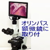 オリンパス生物顕微鏡にHDMIモニター付顕微鏡カメラを取り付け