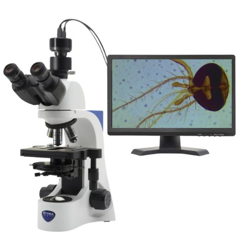 モニターつき顕微鏡JB-383PH（生物顕微鏡・位相差顕微鏡・暗視野顕微鏡）