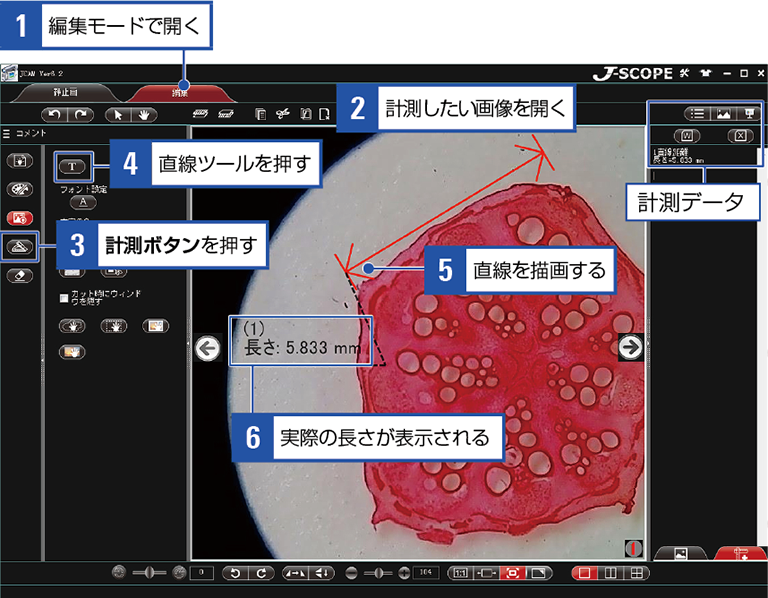 画像計測日本語ソフトJCAM画面