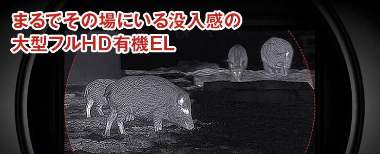 まるでその場にいる没入感の大型フルHD有機EL