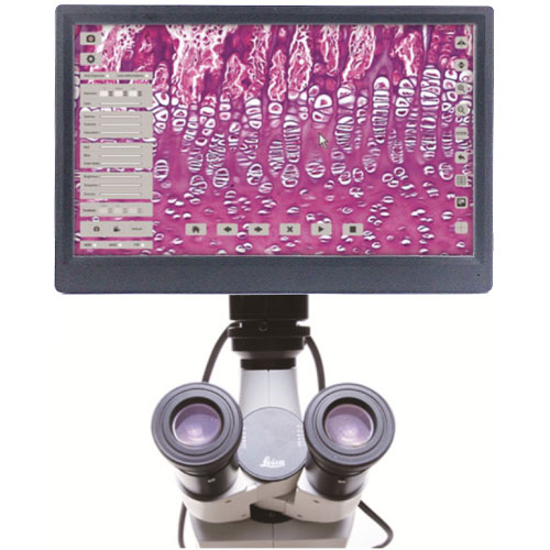 高解像度モニター付顕微鏡用HDMIカメラ TC-1000M