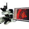 顕微鏡カメラBC-1200