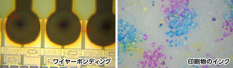 UM30-GN08の観察画像01