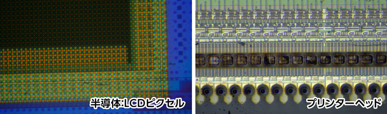 UM30-GN08の観察画像02