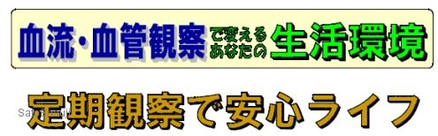 血流スコープBscanビースキャン