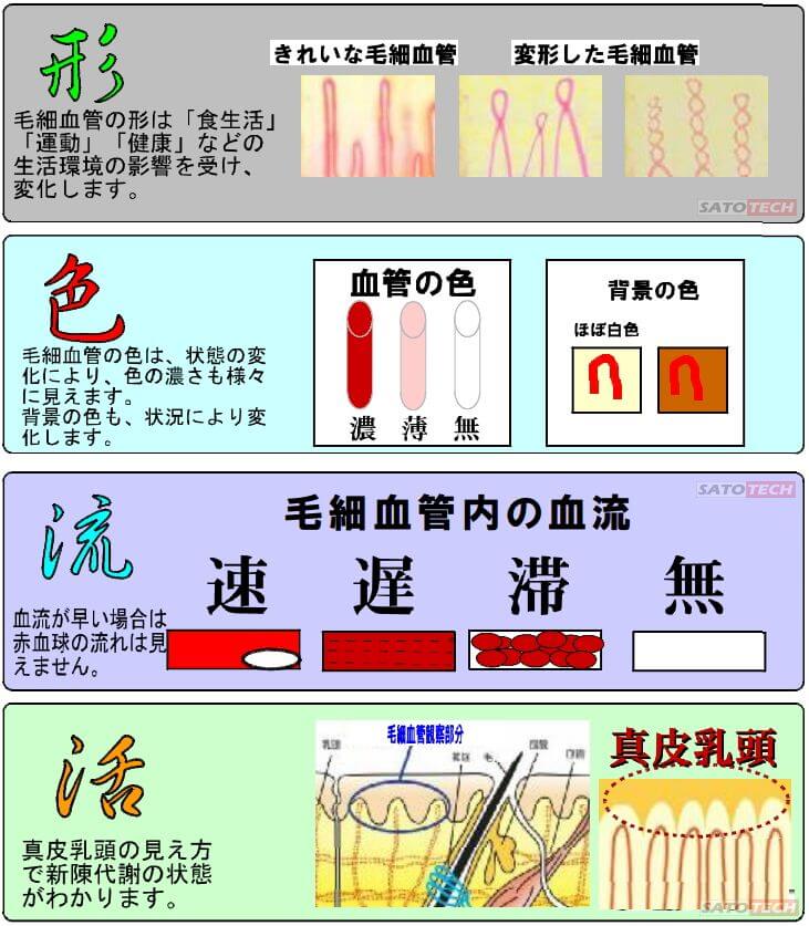 血流スコープ★モニター＆ケース付き★お値下げ中